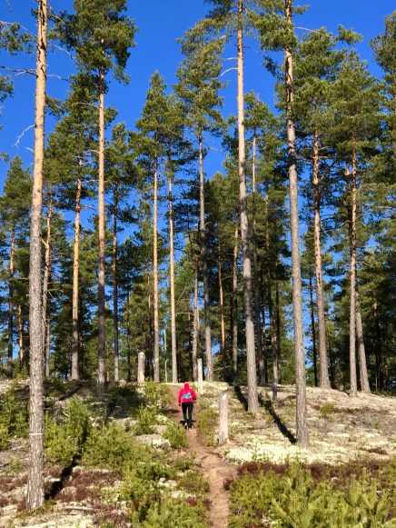 FullSizeRender 2 kopia 3