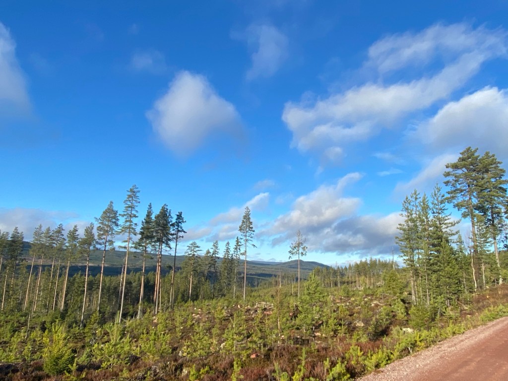 Vilka härliga vyer.